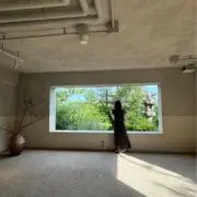ゆりの画像