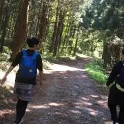 harupunte