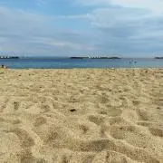 Image of ひい。即日匿名配送頑張ります！！