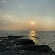あおの画像