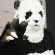 わん