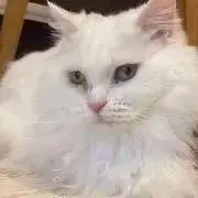 terroristの画像