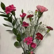 SASA