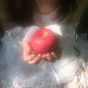 ⸝⸝꙳の画像