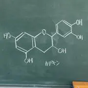 限界超越大学生の画像