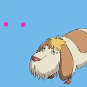 pecoの画像