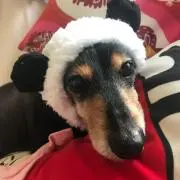 かぼ