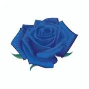 Roseの画像