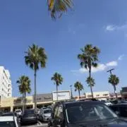 みの画像