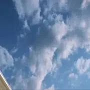 おどうの画像