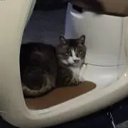 ものみやまるの画像
