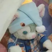 なめこ