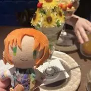 あやか☻まとめ買い値下げ御相談くださいの画像