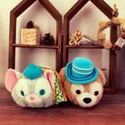 ひめちゃんの画像