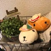 カピバラさん