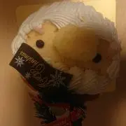 タカ55の画像