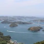 和蘭芹の画像