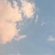 cocoの画像