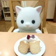 あこの画像