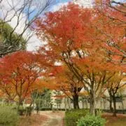 さだごん　☆プロフ見てね☆の画像