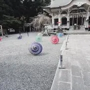 チョコたんshopの画像
