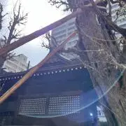 dan sharleeの画像