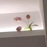 まなママの画像