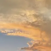 もずの画像