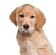 フジコSHOP✨全品値下げ中❗️の画像