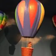 ぽちこの画像