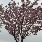たぁこ♬の画像