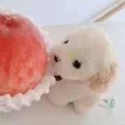 lunaの画像