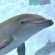 quの画像