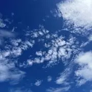 にょんの画像