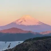 Fgの画像