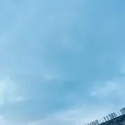 Rの画像