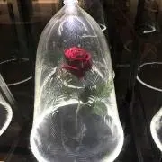 おすん