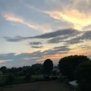 a プロフ必読