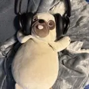 だんごの画像