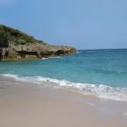 M.Rの画像