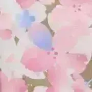 さくらえびの画像