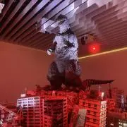 SHINの画像