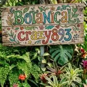 BOTANICALCRAZY893の画像