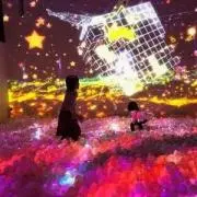 しゃしゃの画像