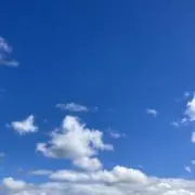 れんかの画像