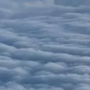 けんの画像