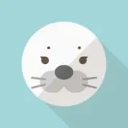 C★24時間以内発送