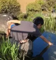 スーパータッキーの画像