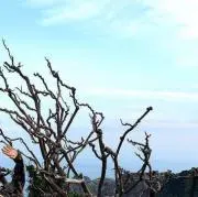 naka