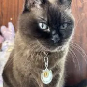 るんるん♪ちいよの画像